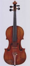 Violine  (1).jpg