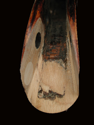 Geigenbau online: separated peg box