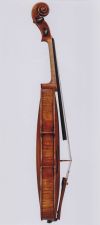 Violine  (2).jpg