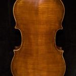Boden der Viola 2007
