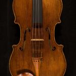 Decke der Viola 2007