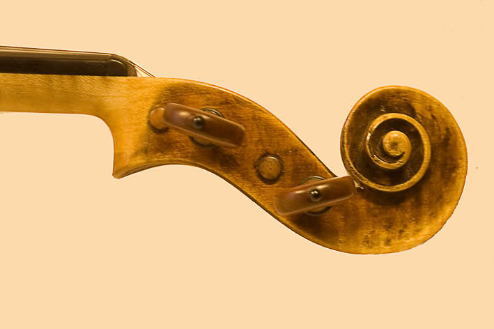 Guarneri Schnecke Seitenansicht